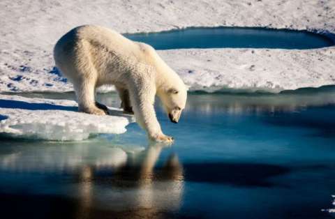 La ONU verifica un récord de calor en el Ártico