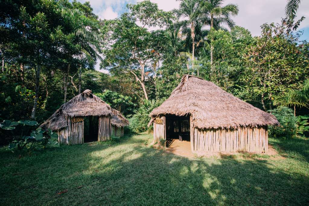 La historia del pueblo bora se encuentra estrechamente ligada a la historia de los murui- muinanɨ o huitoto y a los ocaina.