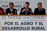 Medidas para fortalecer el agro