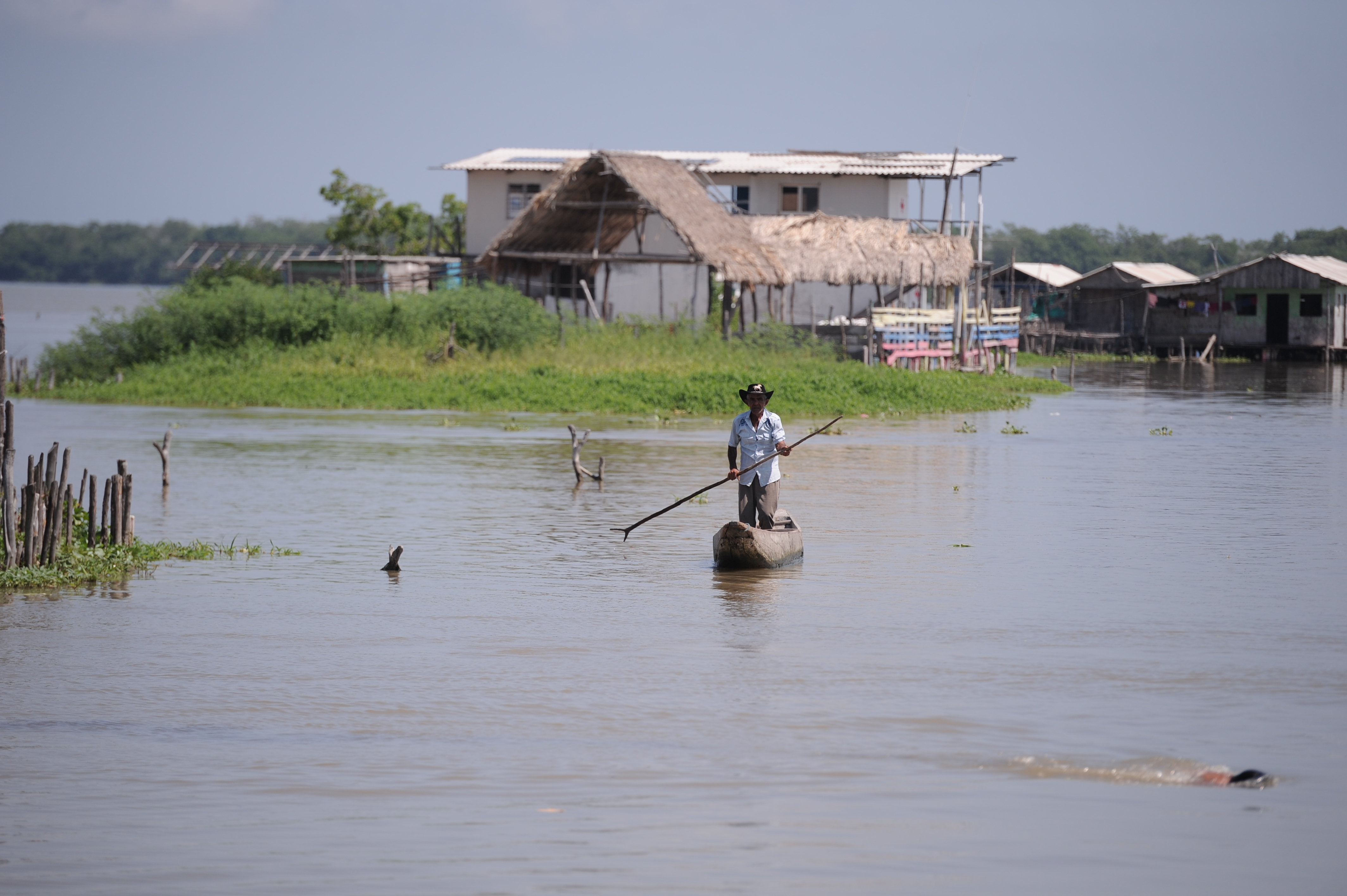 Diferentes aspectos de la Ciénaga Grande de Santa Marta: habitantes, casas, ríos, animales, barcos y el atardecer.