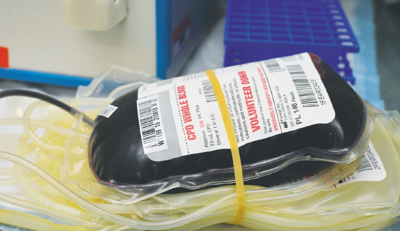 Una persona puede donar 450 mililitros de sangre, que equivalen al 10 % del volumen total en un humano. / AFP