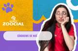 (Video) ¿Qué es el Síndrome de Noé?