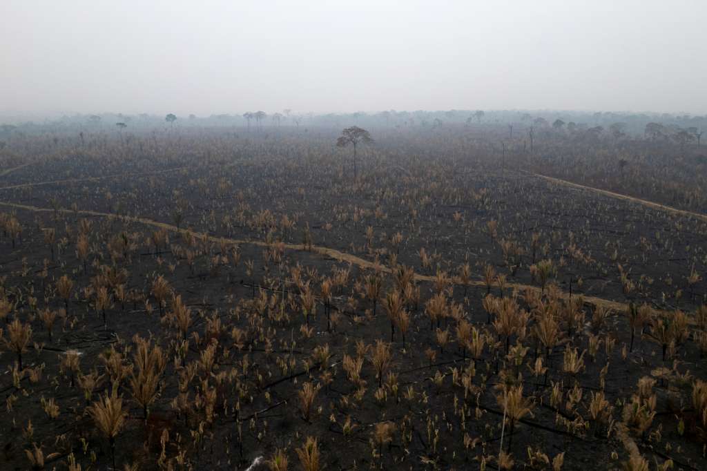 AME1608. NOVA MAMORÉ (BRASIL), 28/11/2024.- Fotografía aérea que muestra una zona quemada ilegalmente en el Parque Estatal Guajará-Mirím el 11 de septiembre de 2024 en la ciudad de Nova Mamoré (Brasil). El Gobierno brasileño ha afilado en el último año la precisión de la vigilancia satelital, clave para combatir la deforestación en la Amazonía, si bien los científicos encargados del programa afirman que aún necesitan más del doble de los recursos de que disponen para poder enfrentar el desafío. EFE/ Isaac Fontana