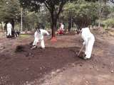 El domingo plantarán 120 árboles como parte de la recuperación del Parque Nacional