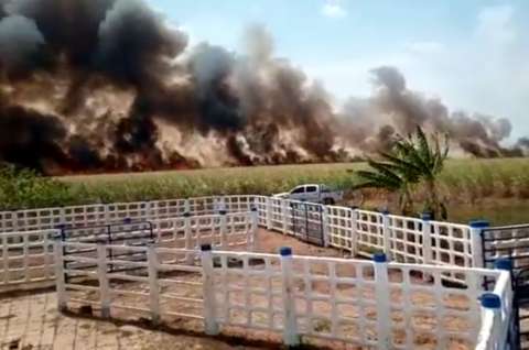 Esto es lo que se sabe sobre el incendio en Puerto López, Meta