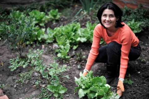 ¿Necesita un impulso para su huerta urbana? Esta fundación puede ser su aliada