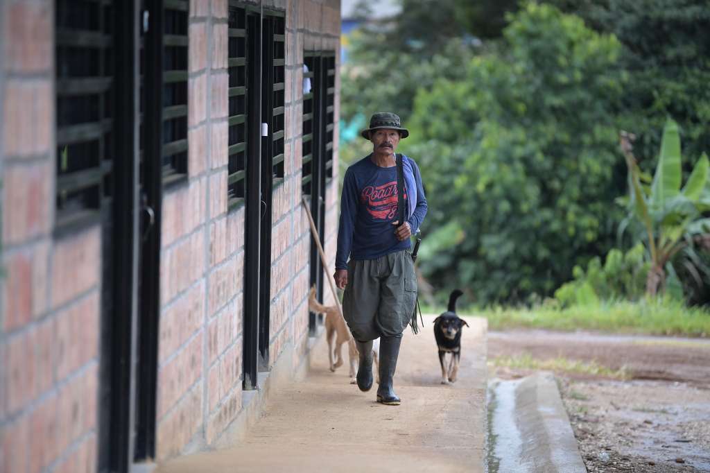 Diferentes aspectos de este espacio de reincorporación del Caquetá: Habitantes, animales, casas.