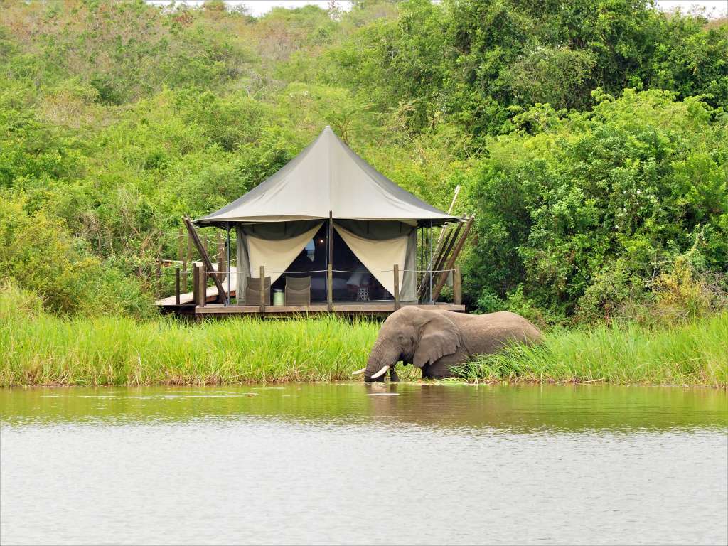 El Parque Nacional de Akagera, en Ruanda, acoge a Magashi Camp, un campamento rodeado de naturaleza pura y vida salvaje.