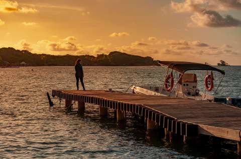 Planes no tradicionales en Colombia: cinco experiencias sostenibles e innovadoras