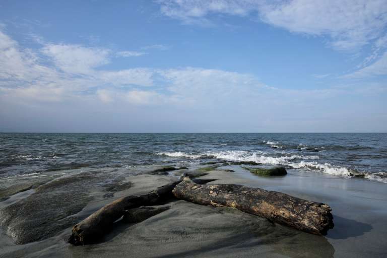 Un viaje a los pueblos palafito del Magdalena: un paraíso flotante