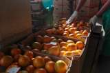 Inflación en septiembre de 2018 fue de 0,16 %