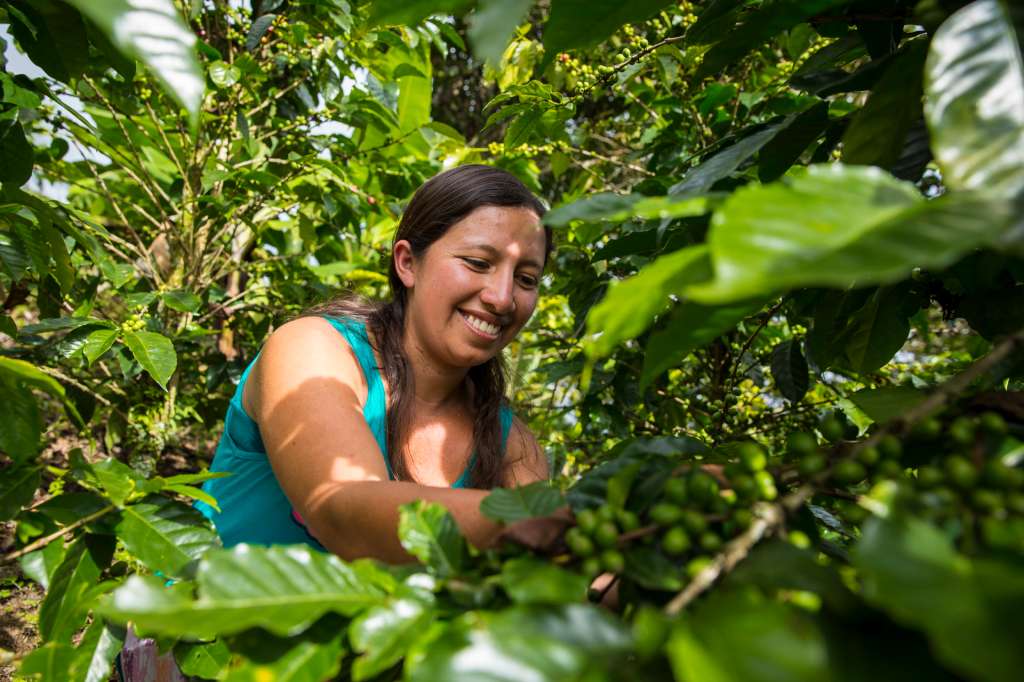 La sostenibilidad ambiental y la protección de los derechos humanos están íntimamente ligados a la protección ambiental de la biodiversidad en Colombia