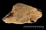 Este martillo de hueso de elefante puede ser la herramienta más antigua de Europa