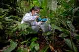 Instituto Humboldt será un centro de apoyo científico para América Latina en temas de biodiversidad