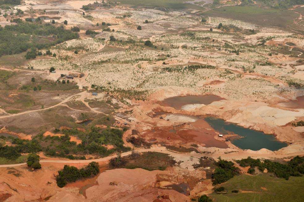 En el áspero paisaje del Bajo Cauca se ven dispersos parches verdes, que son bosques sembrados como parte de la compensación ambiental. / Fotos: Gustavo Torrijos