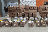 Autoridades incautaron 130.000 dosis de cocaína ocultas en un cargamento de flores