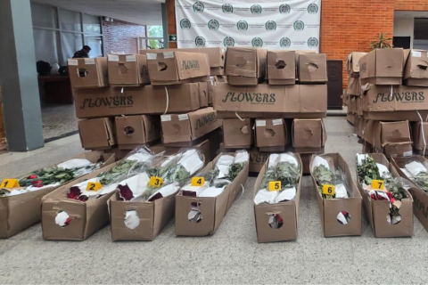 Autoridades incautaron 130.000 dosis de cocaína ocultas en un cargamento de flores