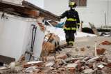 La descomposición de los cuerpos por los terremotos impide algunos funerales en Venezuela