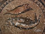 Museo de la Biblia busca adquirir el Mosaico de Megido; arqueólogos no están a favor