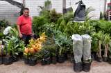 ¿Dónde comprar plantas en Bogotá? En estos tres lugares encontrará una gran variedad