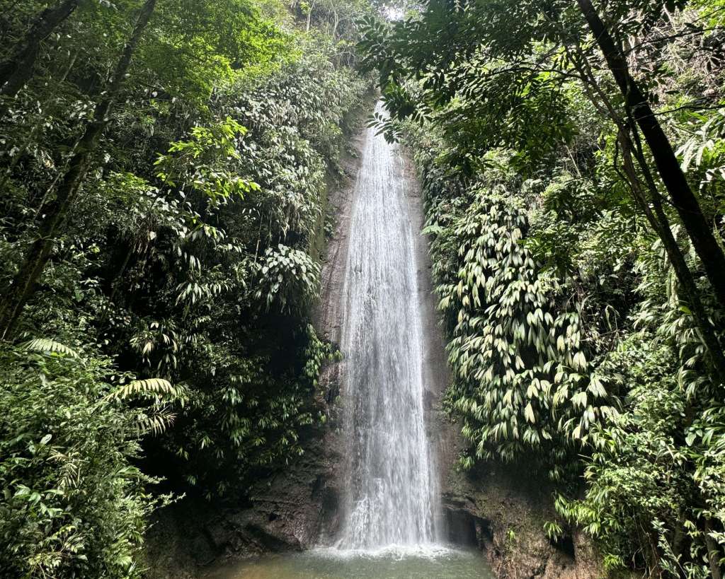 Tour Experience SAS no solo ofrece recorridos turísticos, sino que busca conectar a los visitantes con la historia, las comunidades y la naturaleza del Caquetá, promoviendo un impacto positivo en el territorio.
