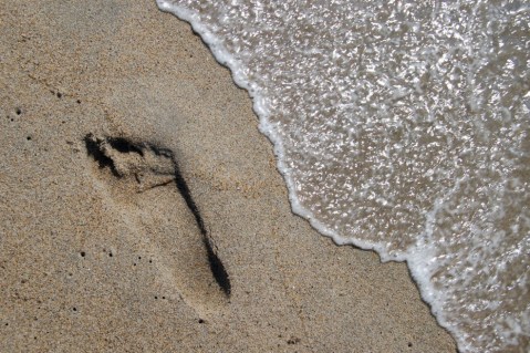 Mujer arrastrada por una ola aparece viva 18 meses después, en la misma playa
