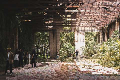 BIAM 2025: la convergencia de la libertad y el arte que se tomó Antioquia