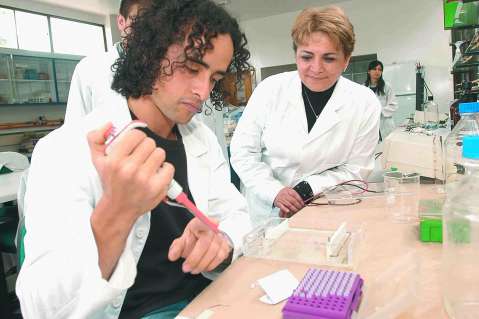Ciudades innovadoras, un reto político
