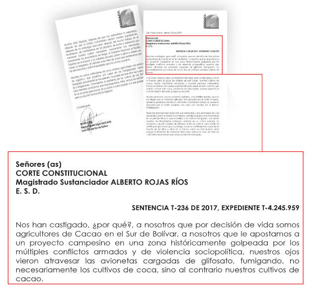 Carta que Asocazul envió a la Corte Constitucional en 2019 cuando se discutía la reanudación de las aspersiones aéreas con glifosato.