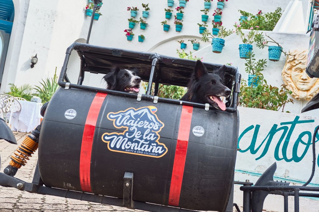 Lu y Greta, las perritas moteras que viajarán hasta Alaska