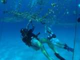 La propuesta de buceo regenerativo que le apuesta al turismo sostenible
