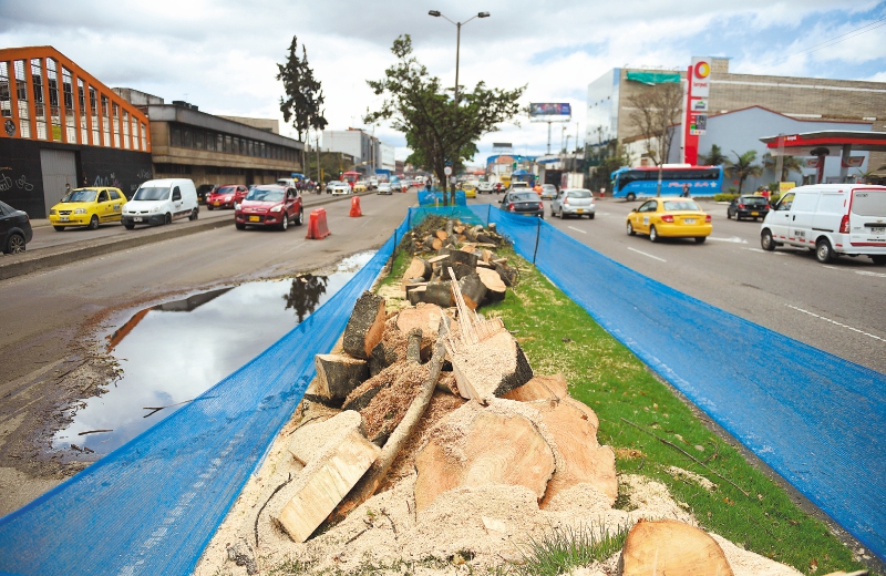 En la troncal de la Av. 68 hay 3.598 árboles, de los que se talarán 1.411.
