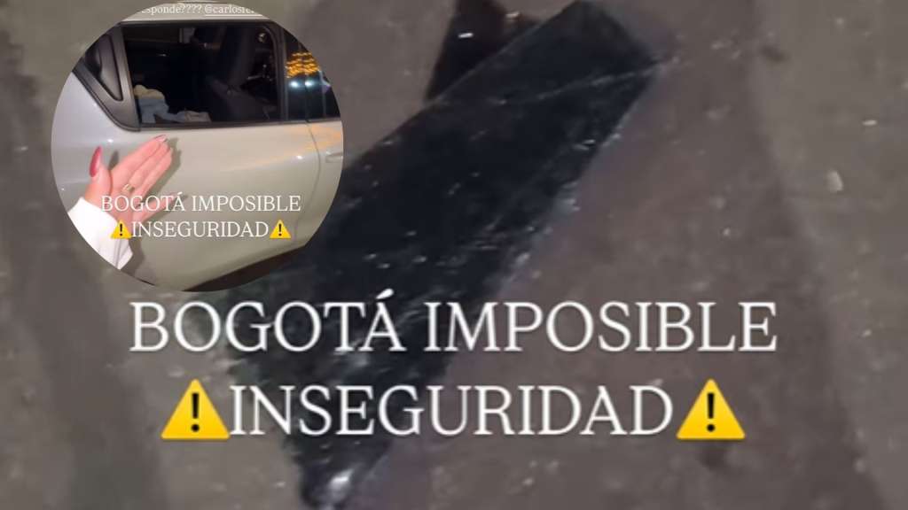 Los dueños dejaron el carro estacionado y se demoraron media hora, cuando regresaron ya había sucedido el robo.