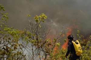 Los incendios forestales también son una emergencia de sanidad animal