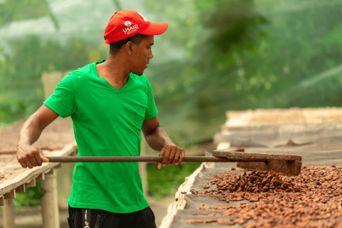 El PIB agropecuario siguió creciendo durante el segundo trimestre del año