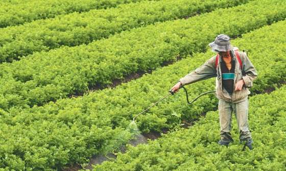 Recientemente, la SAC ha impulsado la conformación de una alianza para el desarrollo de la agroindustria. / EFE