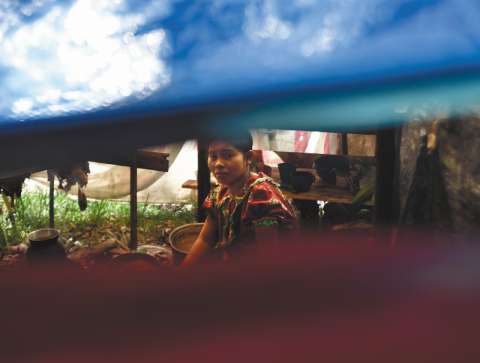 Incertidumbre por la continuidad de los planes para los indígenas asentados en Bogotá
