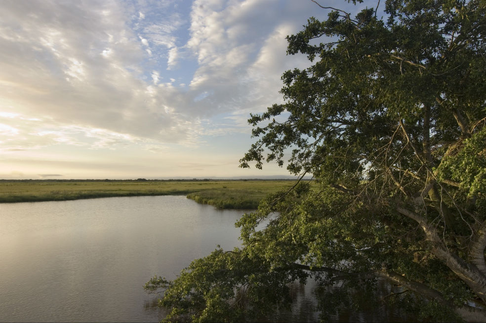 The Nature Conservancy