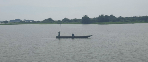 Ciénaga de Zapatosa, en Cesar, podría tener protección de carácter internacional