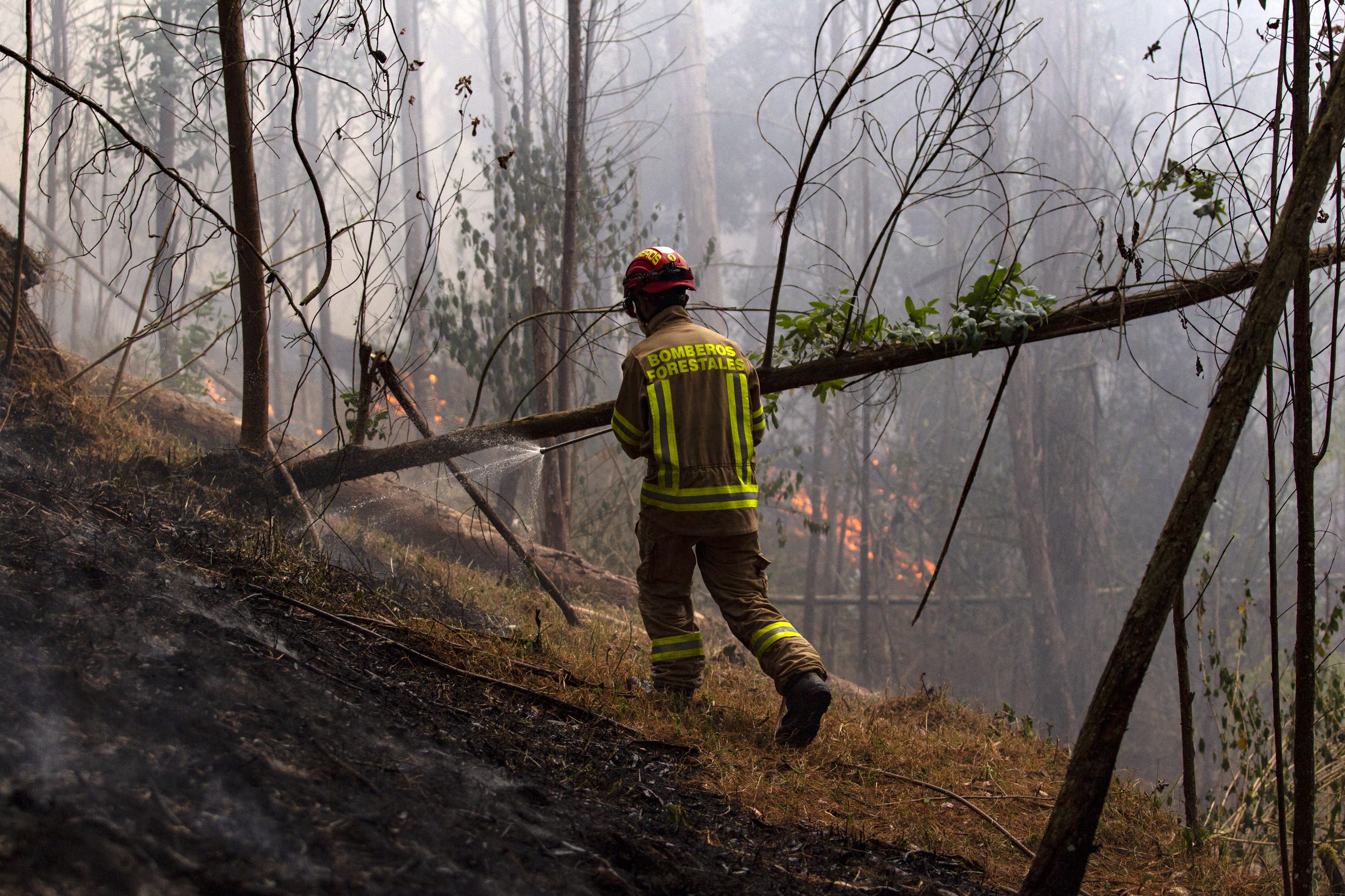 A firefighter combats the fire on burned vegetation during a forest fire in Bojaca, Colombia, on September 20, 2024.
