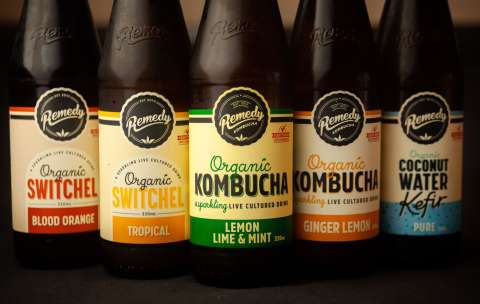 ¿Qué es la kombucha? Para qué sirve, propiedades y usos