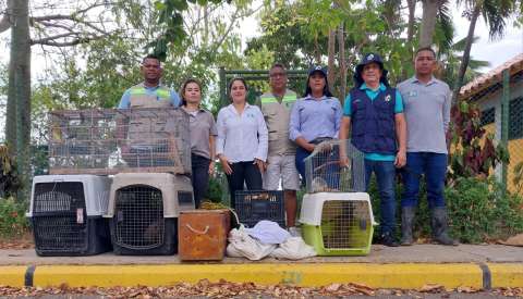 Liberan a 33 animales silvestres en Cartagena que fueron decomisados o recuperados