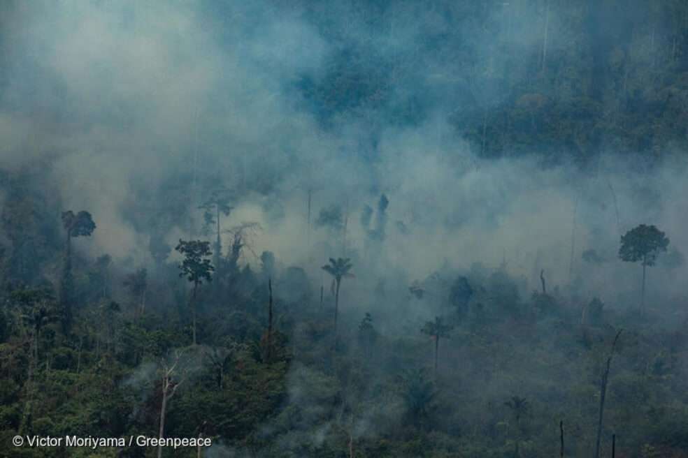 Para dar una idea de la magnitud de lo que se derribó en la Amazonia, es posible decir que el área es similar a 6.4 ciudades de São Paulo (1522 km²). / Greenpeace