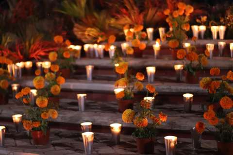 Día de muertos de mascotas: La hermosa tradición mexicana en honor a los peludos