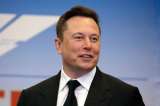 Así funciona Link, el chip cerebral desarrollado por la empresa de Elon Musk