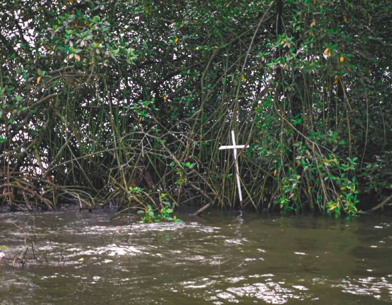 La justicia transicional deberá verificar si los paramilitares dejaban cuerpos sin vida en el manglar/ Ever Andrés Mercado