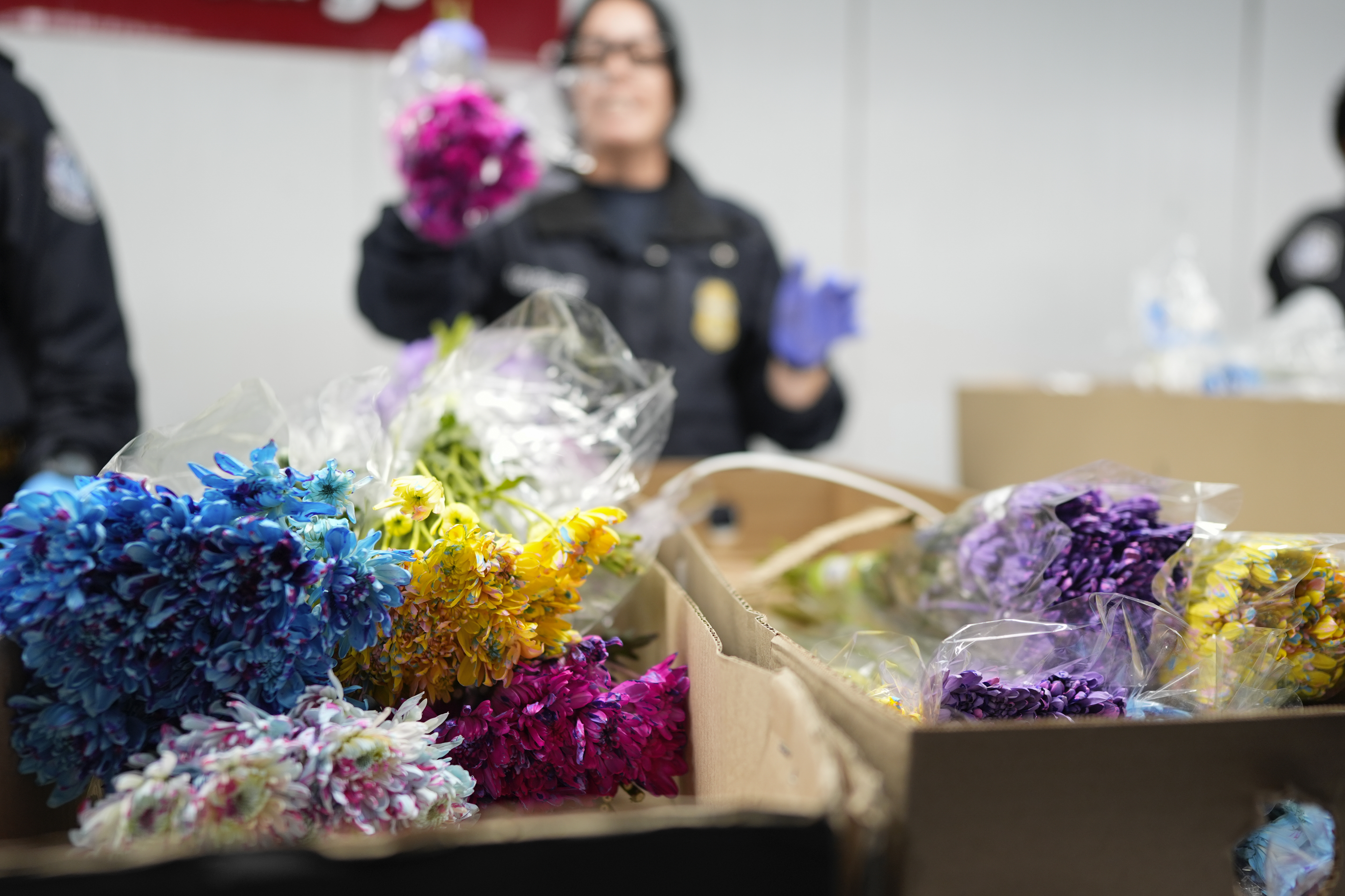 Control de Flores exportadas a Estados Unidos