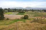 En este sector de Bogotá se construirá el bosque urbano más grande de Latinoamérica