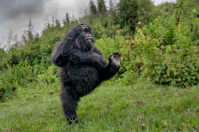 High Five