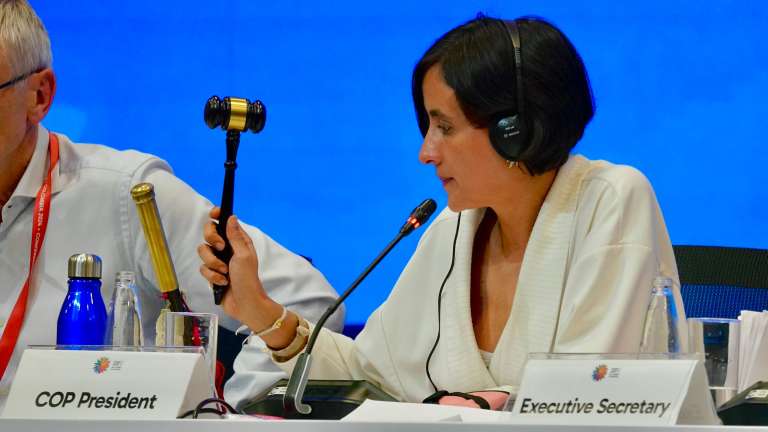 En la COP16 hubo victorias, pero quedó un sabor agridulce
